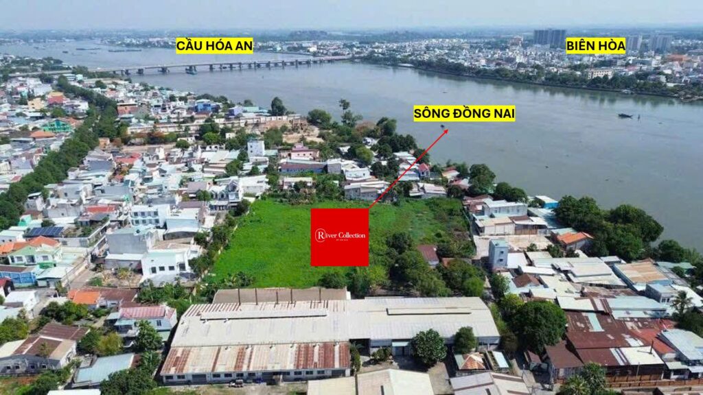 Căn Hộ Hóa An Biên Hòa: Toàn Cảnh Thị Trường 2026 - Tin tức An Gia | Lê Nhung An Gia